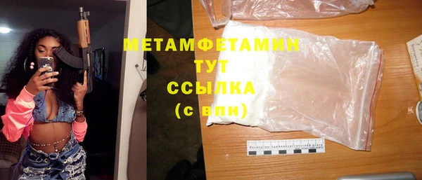 шишки Мегион