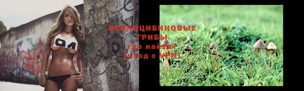 шишки Мегион