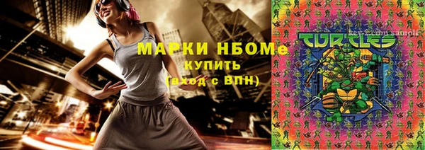 шишки Мегион