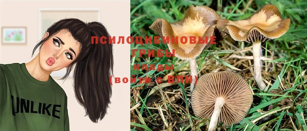 дурь Медвежьегорск