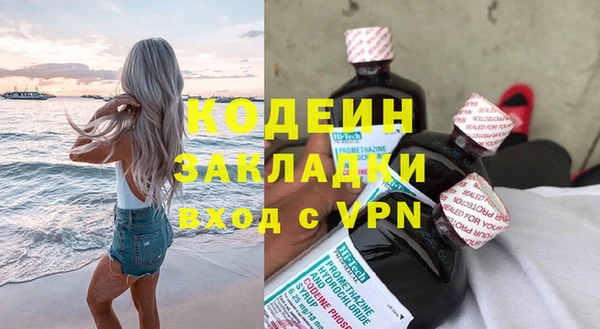 шишки Мегион