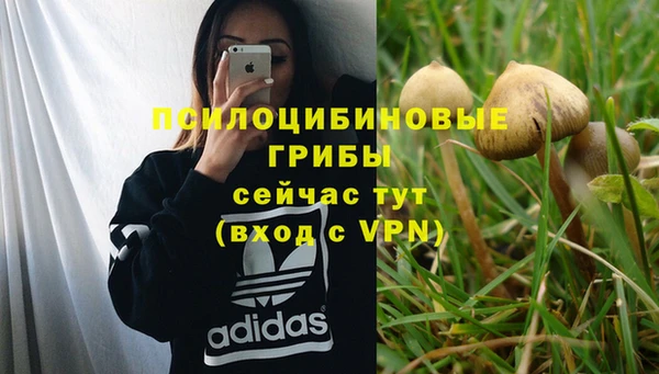 дурь Медвежьегорск