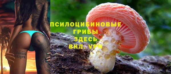 мдпв Медногорск