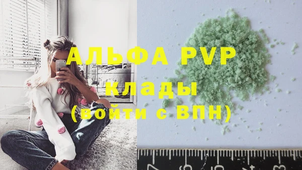 шишки Мегион