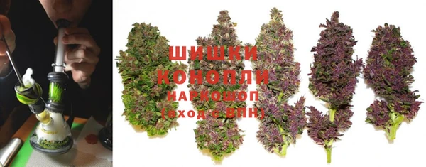 мдпв Медногорск