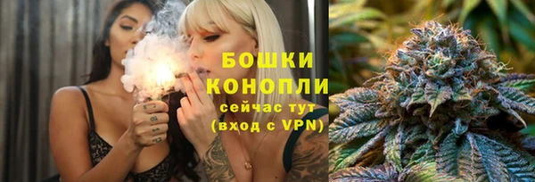 мдпв Медногорск
