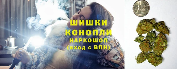 шишки Мегион