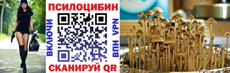 Псилоцибиновые грибы Cubensis  Завитинск 