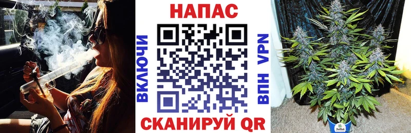 Бошки Шишки SATIVA & INDICA  Завитинск 